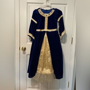 Royal Blue and Gold Velvet Costume Gown